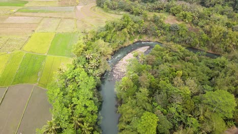 Vista-Aérea-Del-Tranquilo-Y-Sinuoso-Río,-En-Medio-Del-Exuberante-Paisaje-Verde-Del-País-De-Indonesia