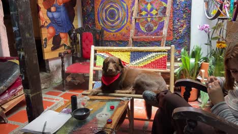 Eine-Traditionelle-Kunsthandwerkerin-Näht-In-Ihrer-Farbenfrohen-Werkstatt-Einen-Sessel,-Während-Ihr-Hund-Sie-Beobachtet