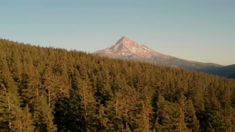 Luftaufnahme-über-Einer-Dichten,-Mit-Bäumen-Bedeckten-Bergrückenlinie-In-Richtung-Mount-Hood