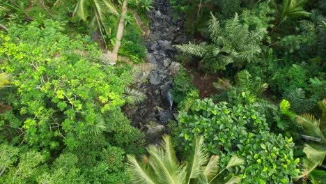 Narrow-Curvy-Concrete-Staircase-Along-Gembleng-Waterfall-Stream-in-Sidemen-Jungle-Rainforest,-Aerial-Slow-Flyover-Staircase-and-Palm-Tree-Treetops-View-from-Above