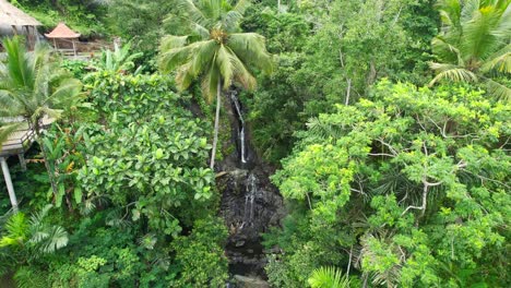 Couple-Enjoy-Fresh-Water-Swimming-at-Gembleng-Waterfall-in-Bali-Jungle-Nature-of-Sidemen,-Aerial-view