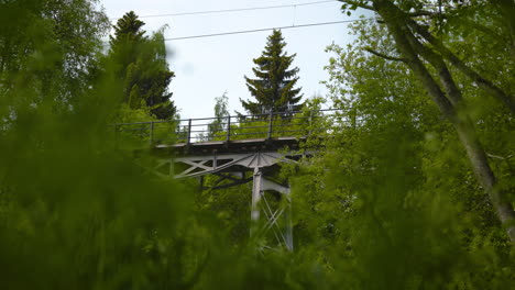 Straßenbahn-Fährt-über-Eine-Brücke