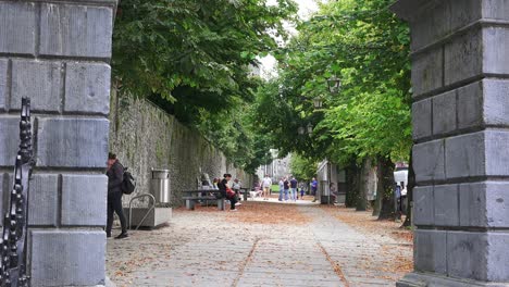 Gente-Relajándose-Y-Paseando-Perros-En-El-Camino-Hacia-La-Atracción-Turística-Del-Castillo-De-Kilkenny-En-Un-Día-De-Septiembre