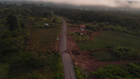 Gepflasterte-Straße-Durch-Den-Ecuadorianischen-Amazonas-Regenwald:-Ein-Naturparadies