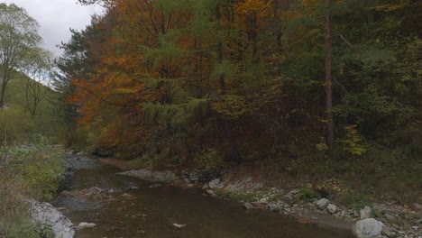 Ruhiger-Gebirgsfluss-Neben-Einem-Wald-Voller-Herbstfarben