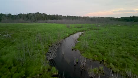 Aerial-follow-of-vegetated-lake-stream,-Lake-Huron,-Michigan