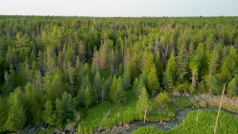 Aerial-reveal-of-forest-and-grassland-with-small-stream,-Michigan