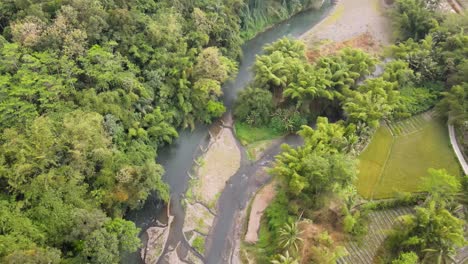 Luftaufnahme-Der-Flussgabelung-Mit-Türkisfarbenem-Wasserlauf-Und-Bäumen-An-Der-Seite---4K-Luftaufnahme