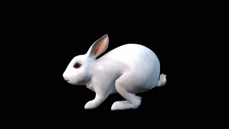 Ein-Springendes-Kaninchen-Auf-Schwarzem-Hintergrund-Mit-Alphakanal-Am-Ende-Des-Videos,-3D-Animation,-Seitenansicht,-Animierte-Tiere,-Nahtlose-Schleifenanimation