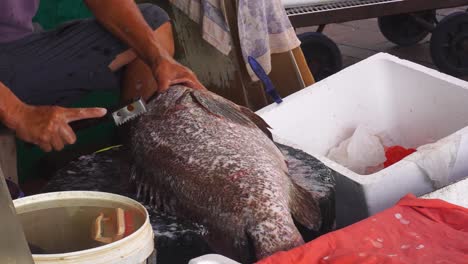 Worker-Descaling-Large-Fresh-Fish-At-Market-On-Cheung-Chau-Island,-Hong-Kong