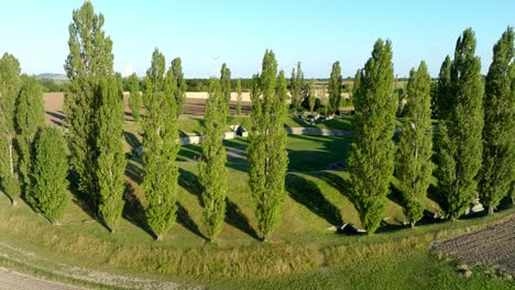 Green-Trees-Surrounding-Ruins-Of-Roman-Fort-In-Carnuntum,-Austria---aerial-shot