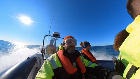 whale-watching-in-reykjavík-by-inflatable-boat