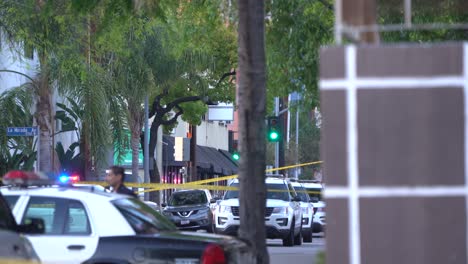 police-cars-arrive-to-greet-suspect