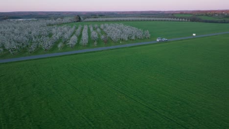Während-Der-Goldenen-Stunde-Erfasst-Eine-Drohne-Einen-Geraden-Weg-Durch-Blühende-Pflaumenplantagen-Und-üppig-Grüne-Rasenflächen-In-Der-Dordogne,-Frankreich