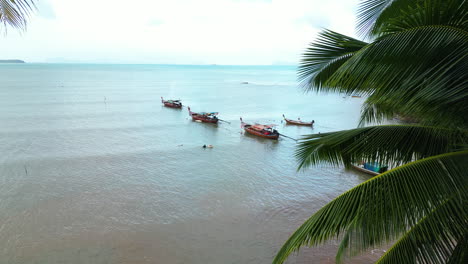 Ein-Blick-Hinter-Die-Palmen-Auf-Fischerbooten,-Die-Nahe-Der-Küste-Der-Phi-Phi-Inseln,-Thailand,-Festgemacht-Haben