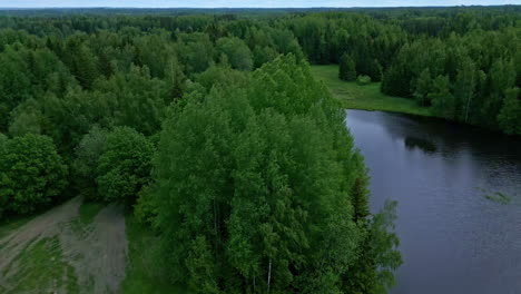 Vista-Panorámica-Sobre-Un-Vasto-Bosque-Arbolado-Y-Un-Lago-Reflectante-En-Letonia