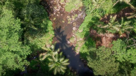 Small-river-in-middle-of-rainforests-of-sunny-Indonesia---descending,-drone-shot