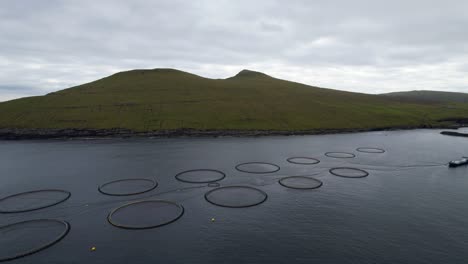 Mariculture-salmon-rings-in-open-Atlantic-Ocean-with-green-rolling-mountains-of-Faroe-Islands,-aerial-pullback