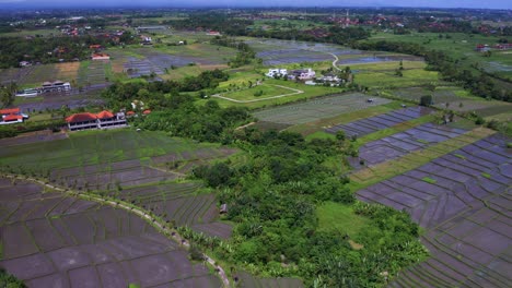 Luftaufnahme-Eines-Reisfeldes-In-Der-Nähe-Der-Stadt-In-Bali,-Indonesien