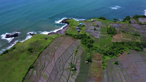 Los-Campos-Agrícolas,-El-Mar-Azul-Y-La-Playa-Aman-Durante-El-Verano-En-Bali,-Indonesia.