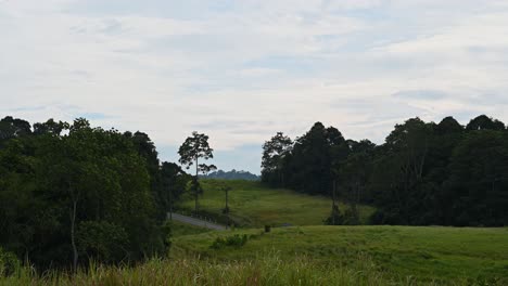 Calm-and-serene-and-a-bird-flies-to-the-left-in-this-landscape,-Khao-Yai-National-Park,-Thailand
