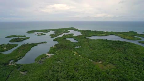 Set-of-mangrove-lagoons-in-Tintipan-Colombian-island