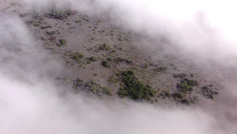 Luftaufnahme-Eines-überschwemmten,-Wolkenverhangenen-Waldes