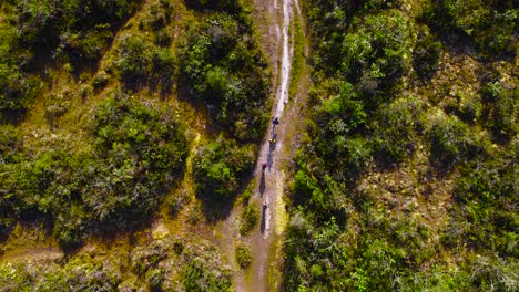 Daytime-drone-shot-looking-directly-downward