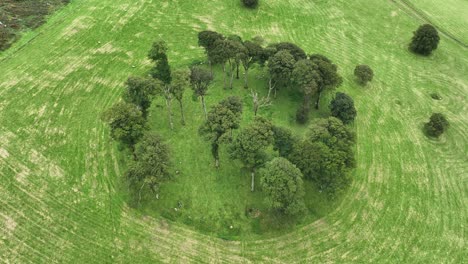 aerial-drone-shot-of-Fairy-Fort-in-Ireland-September-in-Waterford