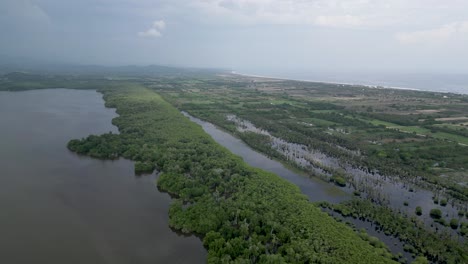 Drone-view-of-Manialtepec-mangroves-and-pacific-ocean-near-Puerto-Escondido,-Oaxaca,-Mexico