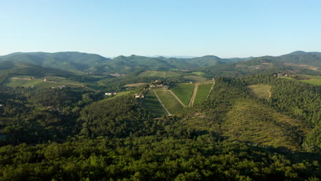 Aerial-shot-castle-in-vineyard