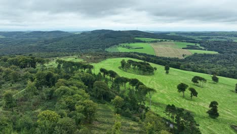 Aerial-flying-over-lush-meadows-and-forests-in-waterford-Ireland-in-late-summer