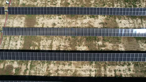 Ein-Feld-Aus-Sonnenkollektoren-In-Wisconsin-Absorbiert-Die-Sonnenenergie-Und-Wandelt-Sie-In-Elektrizität-Um