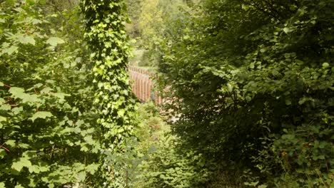 Shot-of-the-Wooden-Bridge-Through-trees-over-the-Afan-river-in-the-AfanValley