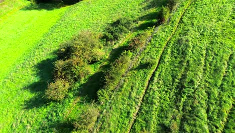 Luftaufnahme-Von-Grünen-Wiesen-Und-Sanften-Hügeln-4k