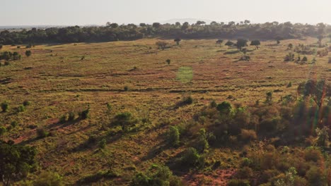 Afrika-Luftdrohnenaufnahme-Der-Masai-Mara-Landschaft-In-Kenia,-Wunderschöne-Aussicht-Auf-Die-Weite-Afrikanische-Landschaft-Von-Hoch-Oben,-Wunderschönes-Sonnenlicht-Und-Sonnenlicht-Zur-Aufnahme-Von-Bäumen-Und-Buschland