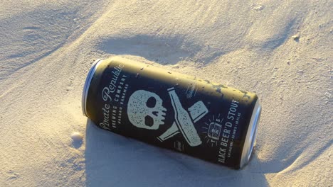 Este-Es-Un-Video-Estático-De-Una-Lata-De-Cerveza-De-La-Marca-Pirate-Republic-Llamada-Black-Beer&#39;d-Stout-En-Una-Playa-Con-Olas