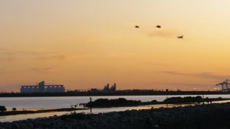 A-shot-of-a-beach-as-dusk-with-industry-in-the-background-and-pelican-flying-past