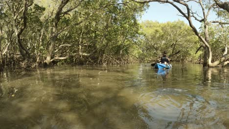 Mujer-Navegando-En-Kayak-A-Través-De-Un-Bosque-De-Manglares-Ambientalmente-Sensible-Realizando-Una-Encuesta-De-Ciencia-Ciudadana