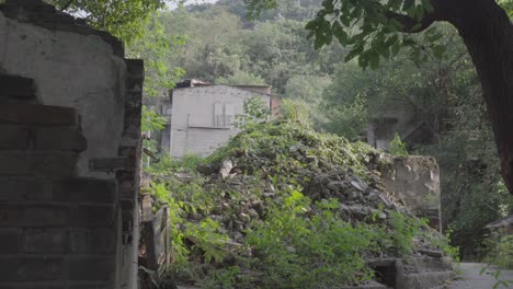 Ruinen-Unter-Dem-Huangjue-Baum