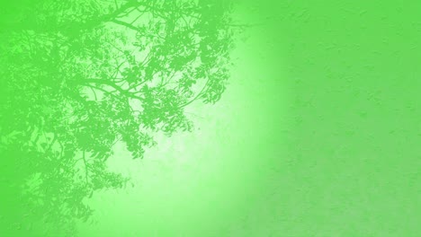 3D-Animation-Von-Pflanzenbäumen,-Sanfte-Brise,-Rendering-Animation-Von-Waldgebieten-Mit-Regentropfen-In-Ruhiger,-Meditativer-Umgebung,-Grünem,-Natürlichem-Hintergrund