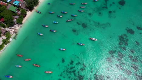 Thai-Island-Coastline-with-beaches-hotels,-and-long-tail-boats-anchored-in-rows--Aerial-straight-down
