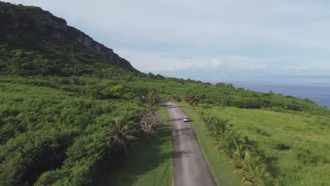 Drone-shot-of-a-car-driving-along-forestry-road-of-Banzai-Cliff