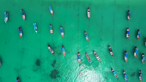 Long-Tail-Thailand-Boats-Anchored-in-lines-off-of-shore--aerial-straight-down-perspective