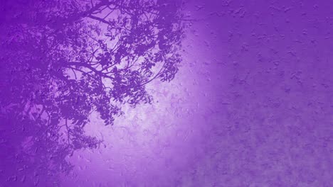 relaxing-meditative-Nature-Plant,-tree-leaves-in-motion-3D-purple-background-for-product-or-logo