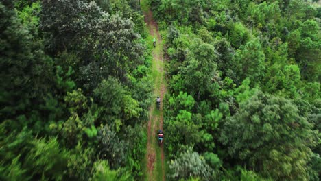 Overhead-Drone-shot-of-mountain-bikers-riding-through-a-green-in-forest