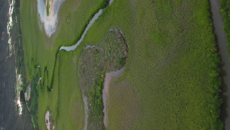 Establishing-aerial-over-mangrove-swamp-near-Voh,-New-Caledonia