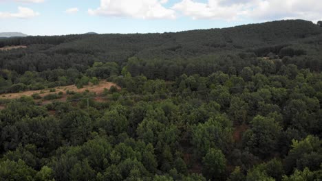 Drone-video-over-dense-forest-country-dirt-pavement-roads-blue-sky-cloudy