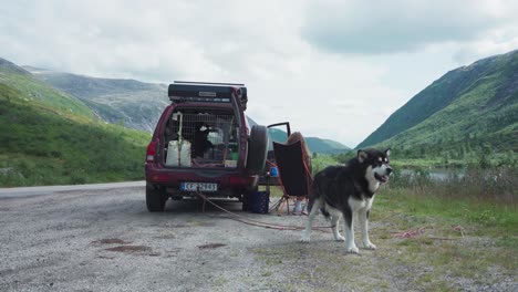 Alaskan-Malamute-Dog-Tied-To-The-Rear-Of-A-Camping-Vehicle-Near-Camper-Sitting-In-Norwegian-Countryside