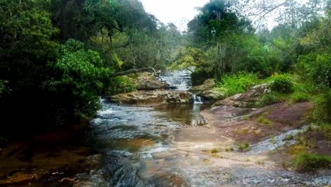 Stunning-Virgin-Stream-With-Small-Waterfalls-in-Heart-Of-Nature-Paraguay